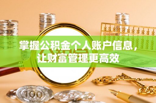 成安掌握公积金个人账户信息，让财富管理更高效